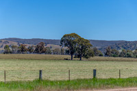 Rural countryside around Glenrowan in Victoria