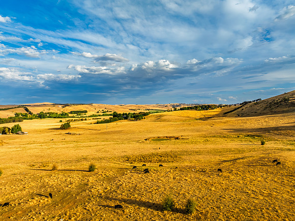 Cloud‑Laced Skies at Golden Hour Over Farmland