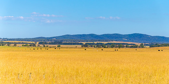 Goulburn Region - Explore the Picturesque Countryside of NSW