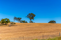 Goulburn Region - Explore the Picturesque Countryside of NSW