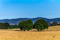 Goulburn Region - Explore the Picturesque Countryside of NSW