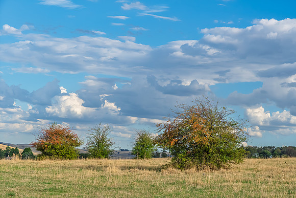Soft Afternoon Light Over Rural Field