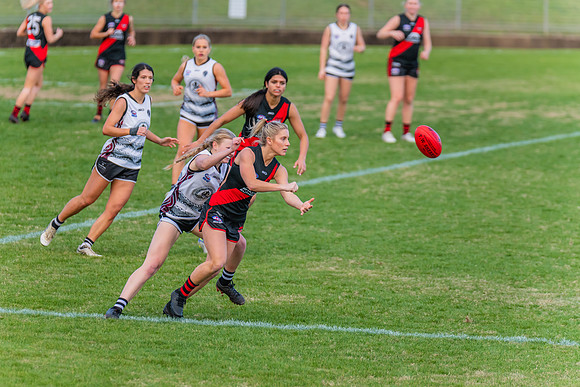 WPD Elimination Final - North Shore v Inner West - 7 August 2022