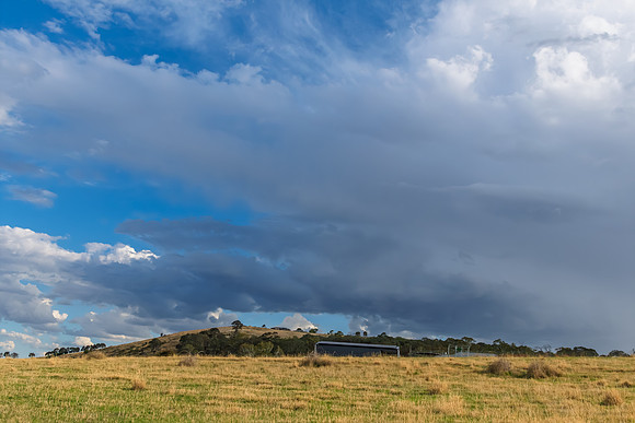 Soft Afternoon Light Over Rural Field