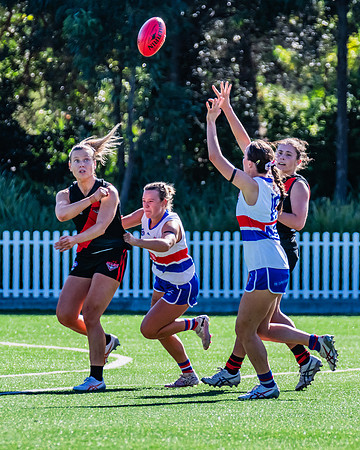 Rd 4 WPD - North Shore v UNSW-ES - 27 April 2024