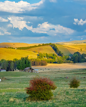 Golden hour light over the rural landscape with clouds
