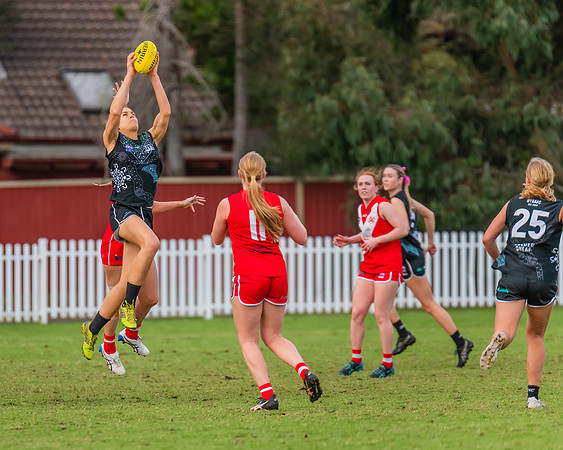 Rd 7 WPD - St George v UTS - 25 May 2024