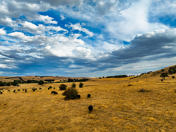 Cloud‑Laced Skies at Golden Hour Over Farmland