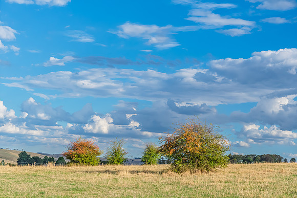 Soft Afternoon Light Over Rural Field