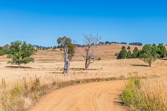 Dry Summer Countryside under a Blue Sky