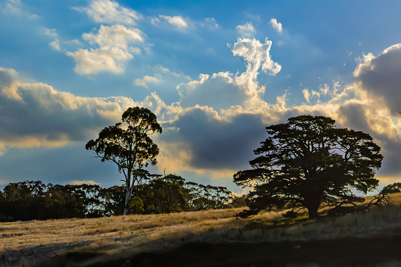Golden hour light over the rural landscape with clouds