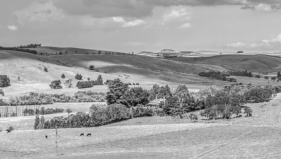 Afternoon storm light over the countryside in black and white