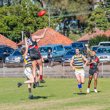 Men's Div 1 - Qualifying Final - North Shore v Sydney University