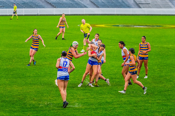 Rd 8 WPD - UNSW-ES v Sydney Uni - 1 June 2024