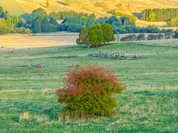 Golden hour light over the rural landscape with clouds