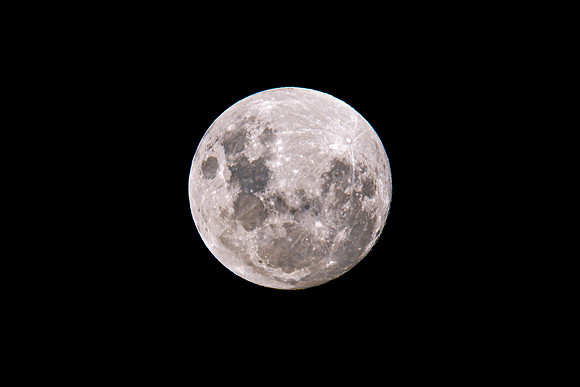 Earth's moon at 99 percent full in the early evening night sky