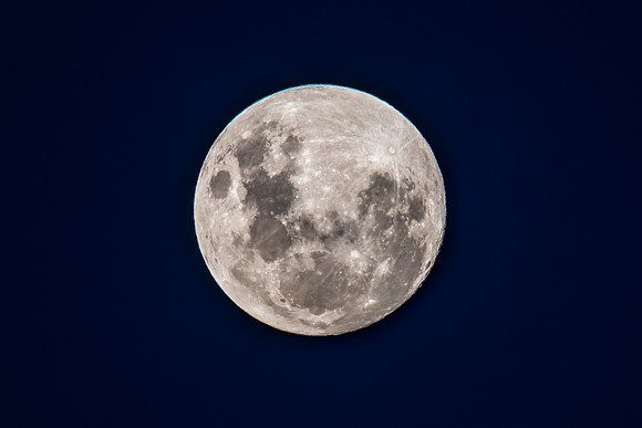 Earth's moon at 99 percent full in the early evening night sky