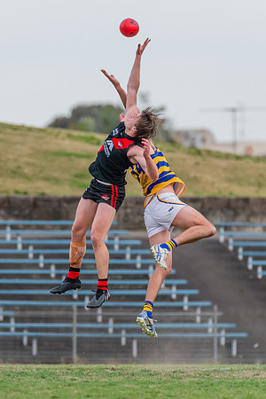MPD Qualifying Final - North Shore v Sydney University - 20 Augu