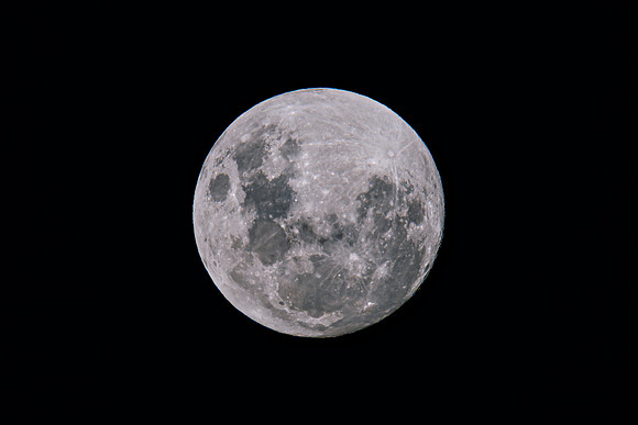 Earth's moon at 99 percent full in the early evening night sky
