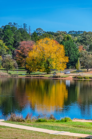 Autumn Day at Lake Canobolas