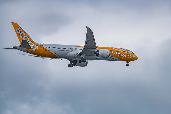 Scoot Boeing 787-9 Dreamliner aircraft flying in the afternoon s