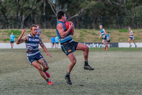 Platinum Div Preliminary Final - Southern Power v Camden Cats -