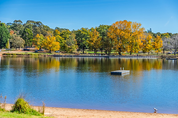 Autumn Day at Lake Canobolas