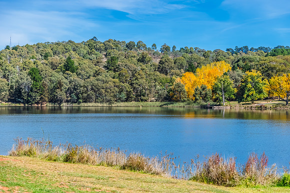 Autumn Day at Lake Canobolas