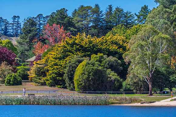 Autumn Day at Lake Canobolas