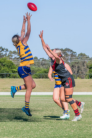 WPD Elimination Final - North Shore v Sydney Uni - 1 September 2