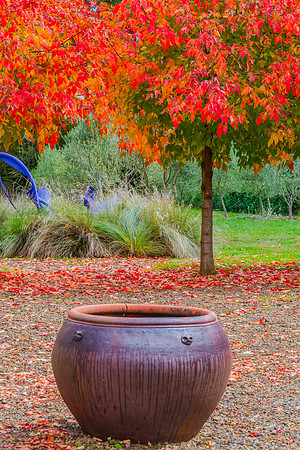 Autumn Leaves and Clay Pot in Garden