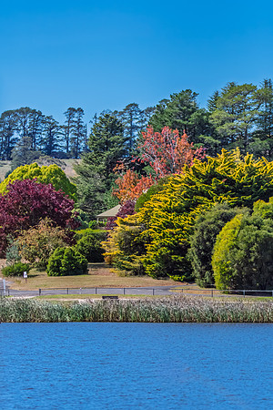 Autumn Day at Lake Canobolas