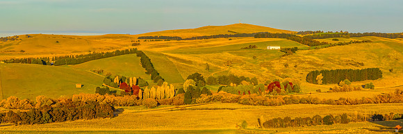 Autumn Golden Hour over the Blayney Countryside