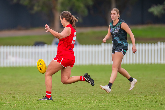 Rd 7 WPD - St George v UTS - 25 May 2024