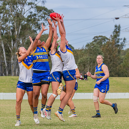 WPD Semi Final - Parramatta v Sydney Uni - 8 September 2024