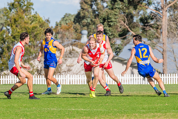 Rd 17 MPD - East Coast v St George - 17 August 2024
