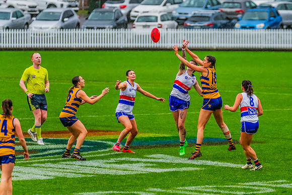 Rd 8 WPD - UNSW-ES v Sydney Uni - 1 June 2024