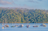 Early morning fog rolling through the Pittwater at Palm Beach
