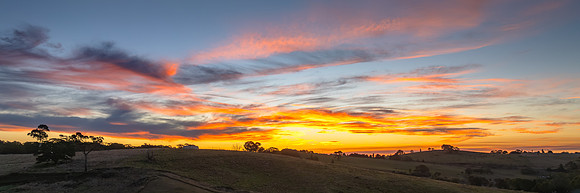 Soft Evening Light and High Cloud Over the Country Landscape