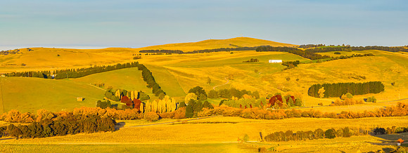 Autumn Golden Hour over the Blayney Countryside