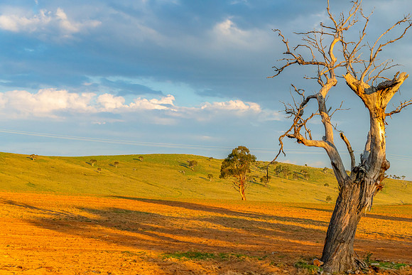 Golden Hour Country Landscape in the Snowy Monaro Region