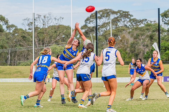 WPD Semi Final - Parramatta v Sydney Uni - 8 September 2024