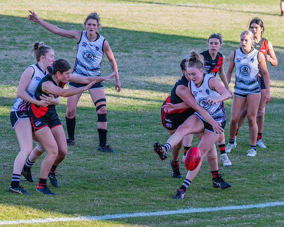 WPD Elimination Final - North Shore v Inner West - 7 August 2022