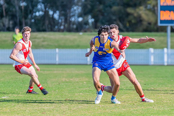 Rd 17 MPD - East Coast v St George - 17 August 2024