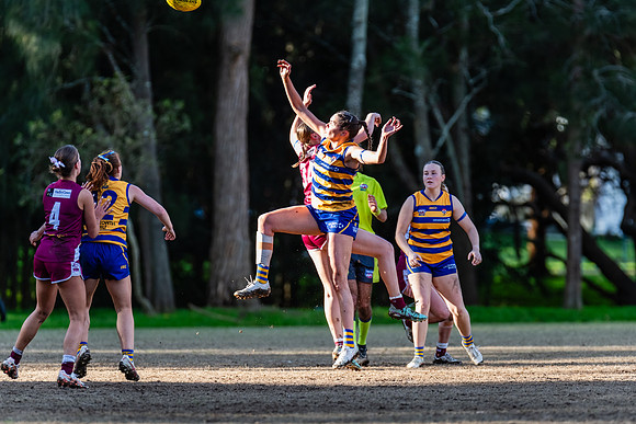 Rd 17 WPD - Manly Warringah v Sydney Uni - 16 August 2025