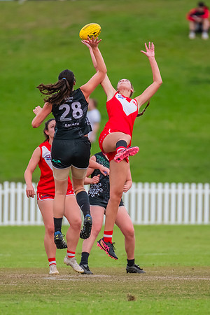 Rd 7 WPD - St George v UTS - 25 May 2024