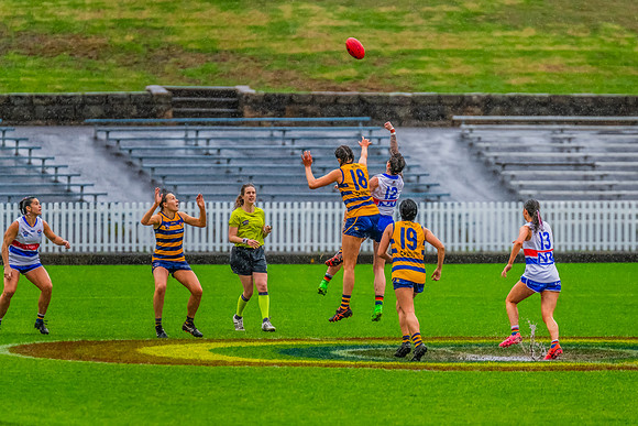 Rd 8 WPD - UNSW-ES v Sydney Uni - 1 June 2024
