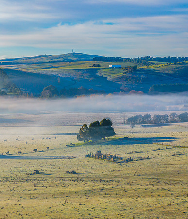 Fog and Frost Over the Countryside - A Winter Landscape