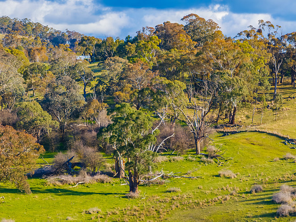 Winter Afternoon Light Across the Countryside