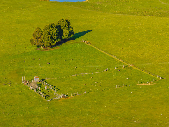 Winter Afternoon Light Across the Countryside